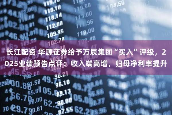 长江配资 华源证券给予万辰集团“买入”评级，2025业绩预告点评：收入端高增，归母净利率提升